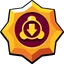 SLOWING SHIELD